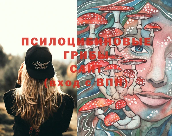 PSILOCYBIN Балабаново