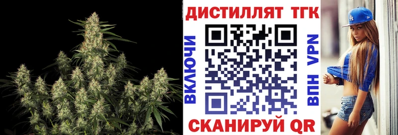 Купить  Красноярск  ТГК концентрат 