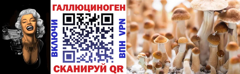 Купить где  Красноярск  Галлюциногенные грибы GOLDEN TEACHER 
